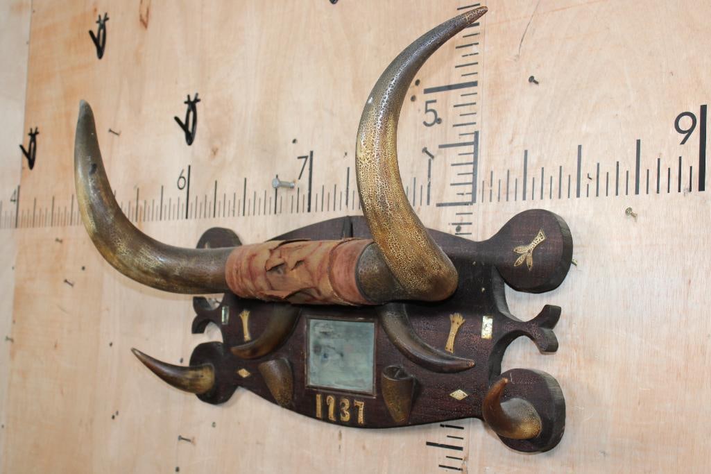 BULL or STEER Horns Mounted on a Decorative Wood Plaque from 1937 - 3