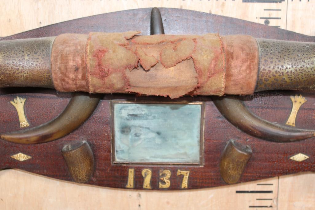 BULL or STEER Horns Mounted on a Decorative Wood Plaque from 1937 - 4