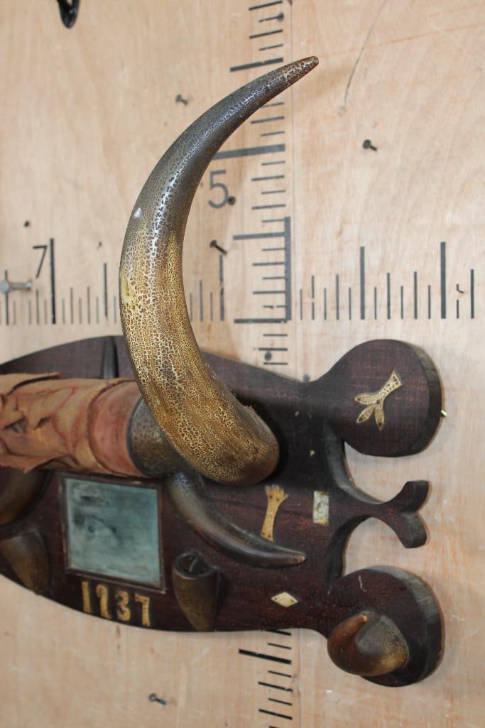 BULL or STEER Horns Mounted on a Decorative Wood Plaque from 1937 - 6