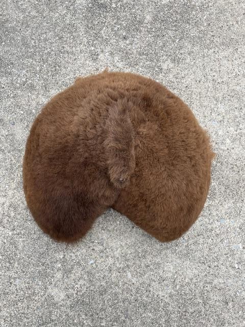 BUFFALO or BISON Butt or Rear End! - 2