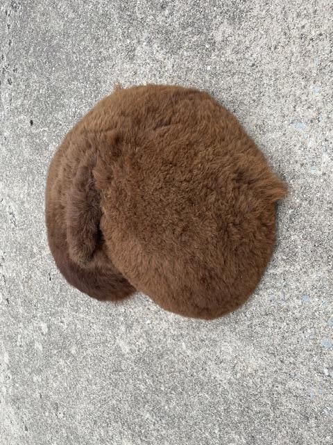 BUFFALO or BISON Butt or Rear End! - 3