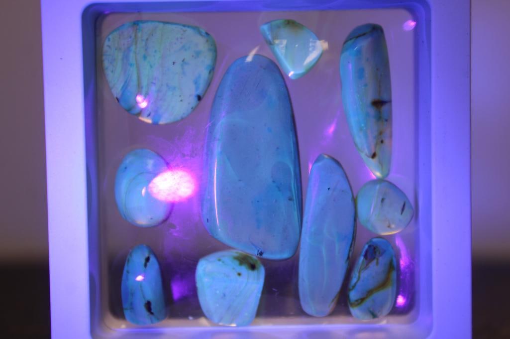 10 Pieces of Authentic Myanmar AMBER Fossil Specimens - 3