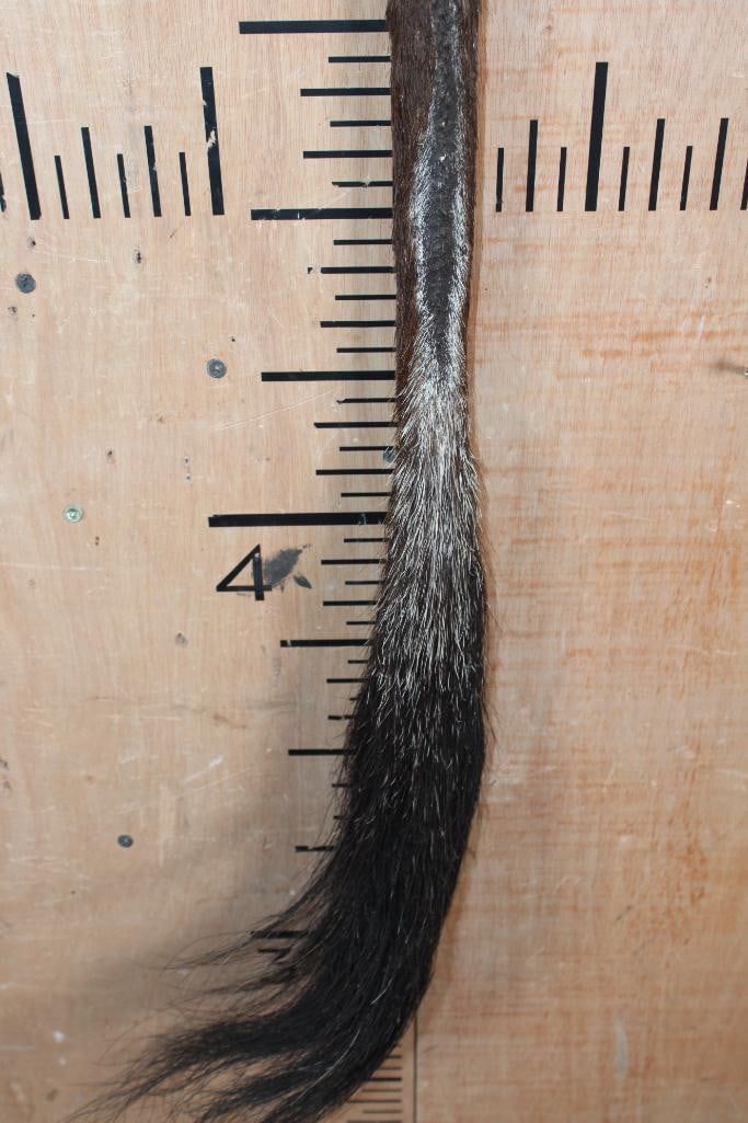 SABLE Tail Swatter with a Wooden Handle - 3