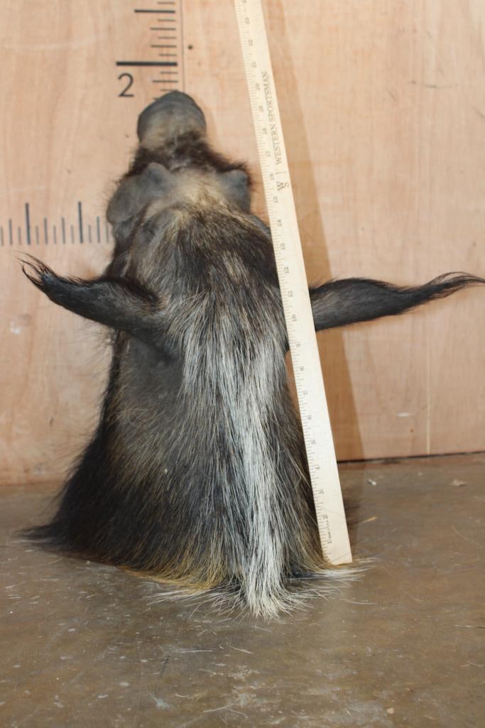 BUSHPIG Shoulder Mount - 5