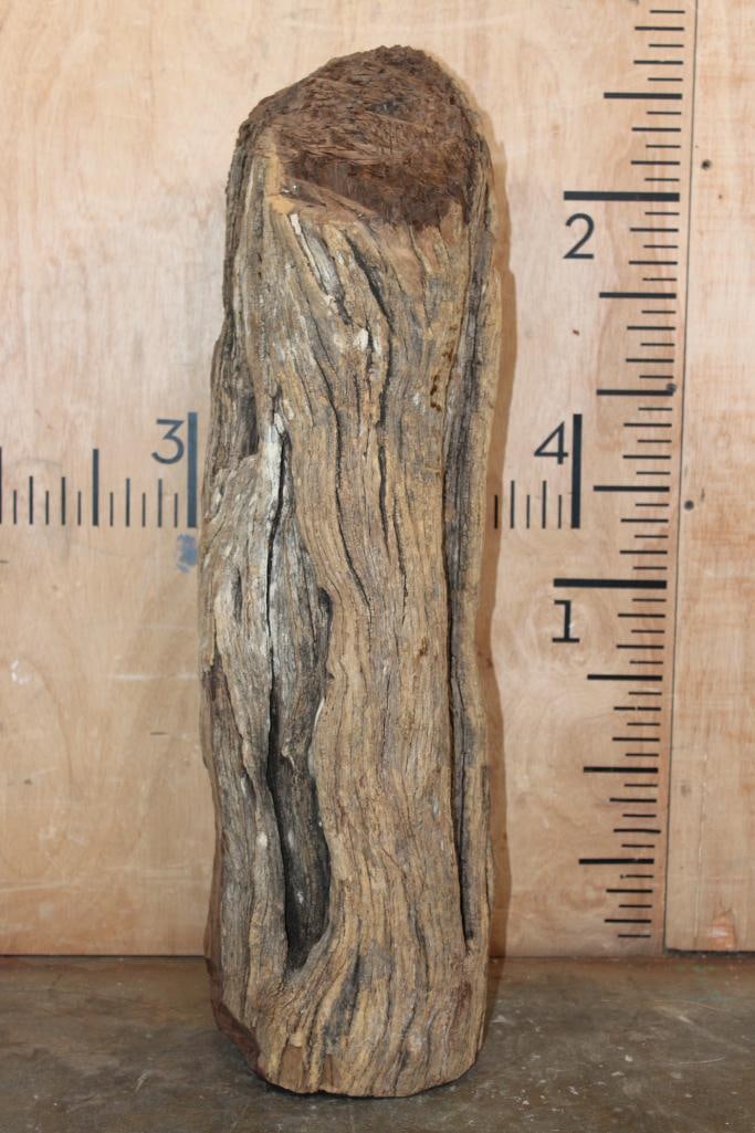 Hand-carved Makonde Tribe Elder Bust from East Africa - 5