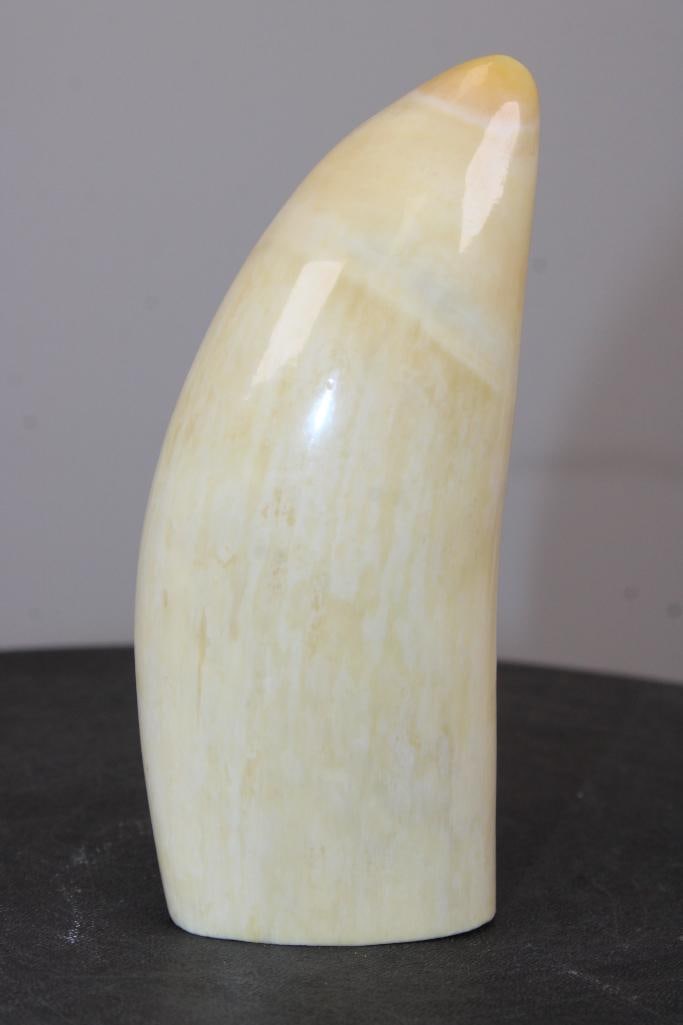 Polished Antique SPERM WHALE Tooth - 2