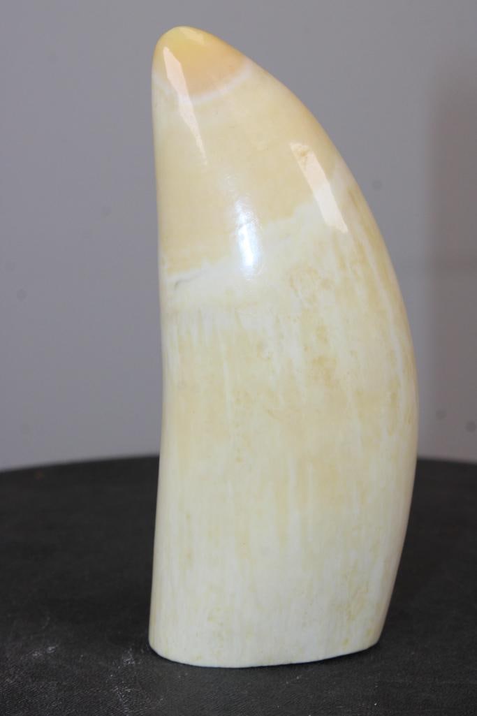 Polished Antique SPERM WHALE Tooth - 3