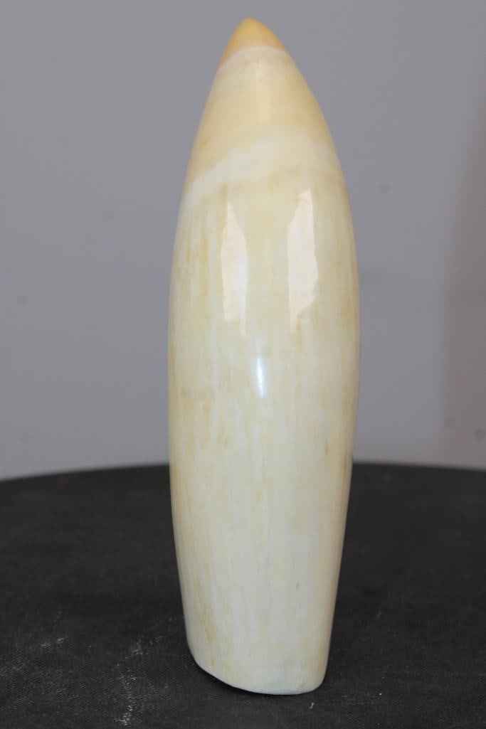 Polished Antique SPERM WHALE Tooth - 5