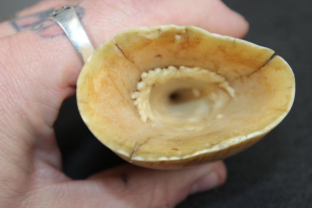 Pre 1972 Big SPERM WHALE Tooth - 3