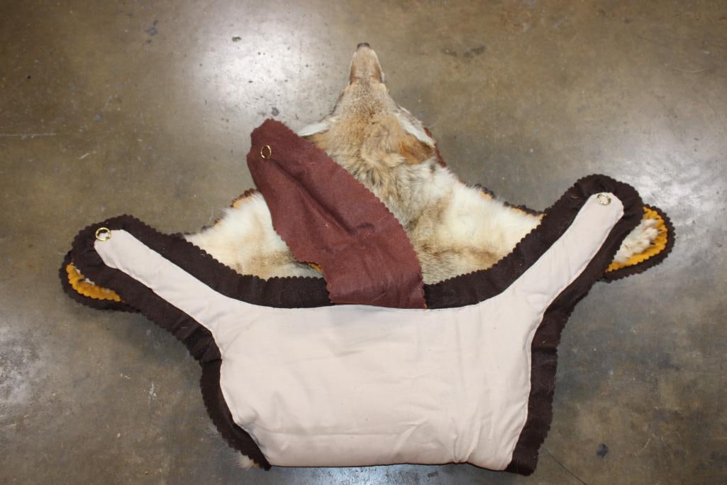 COYOTE Rug with its Mounted Head and a Double Felted Backing - 5