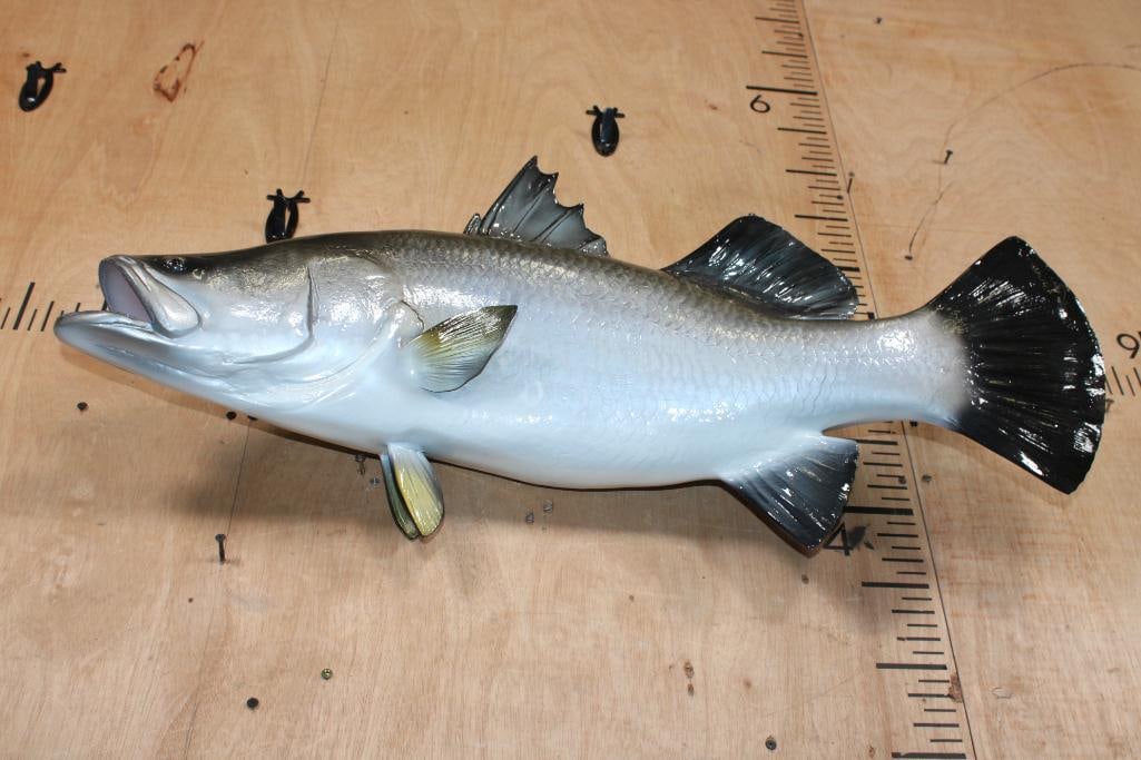 Reproduction BARRAMUNDI Fish Mount - 5