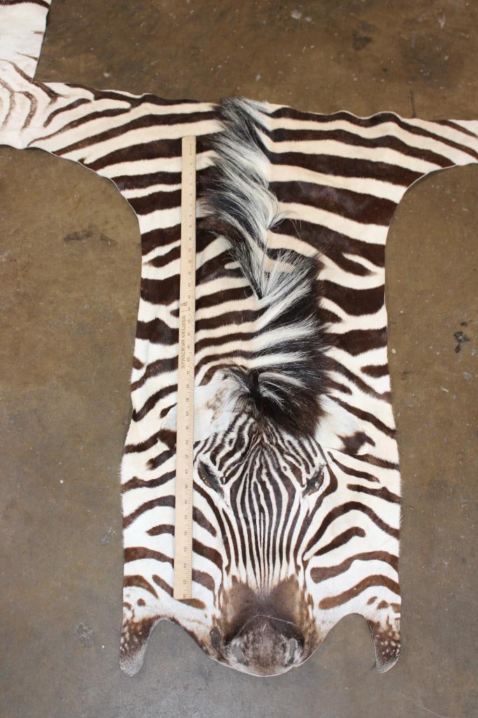 ZEBRA Head Hide Section - 2