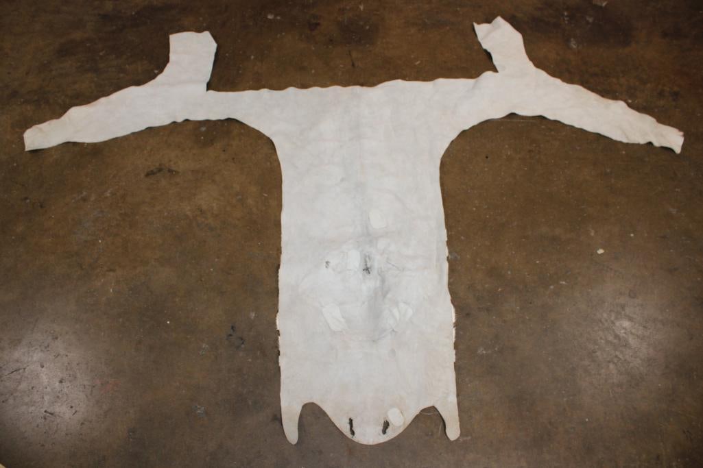 ZEBRA Head Hide Section - 5