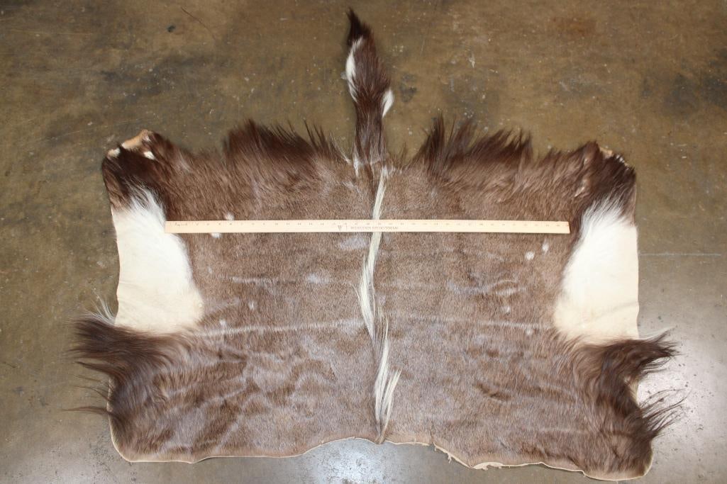 NYALA Back Hide - 2