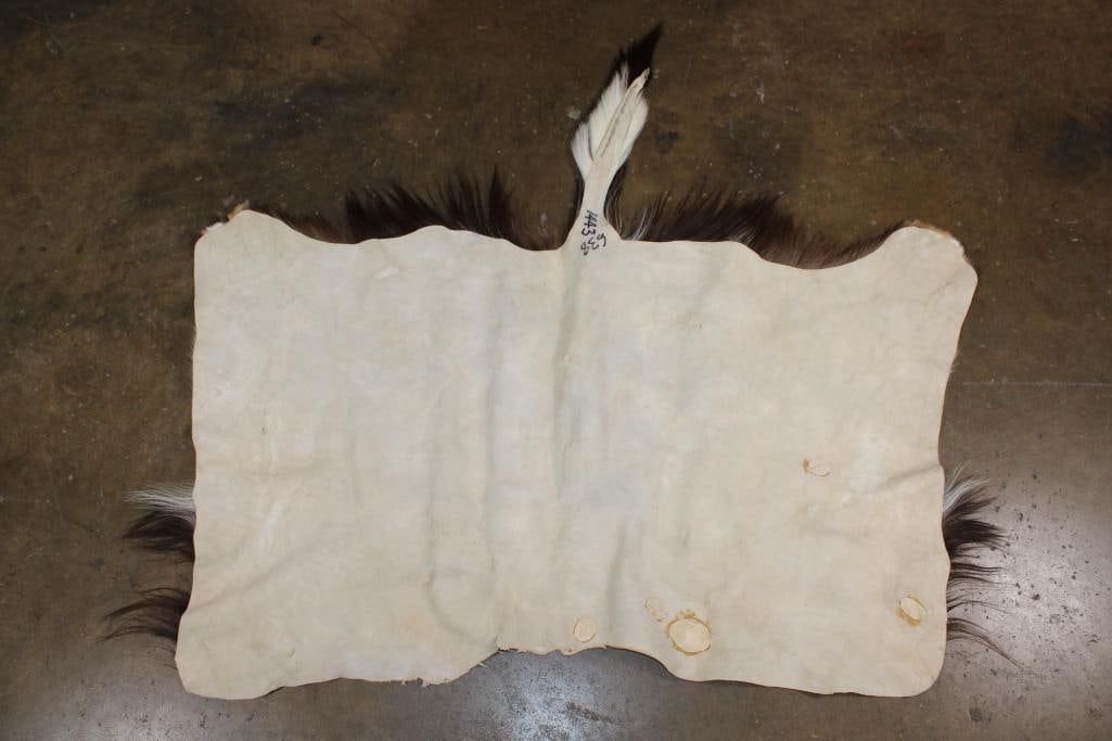 NYALA Back Hide - 3