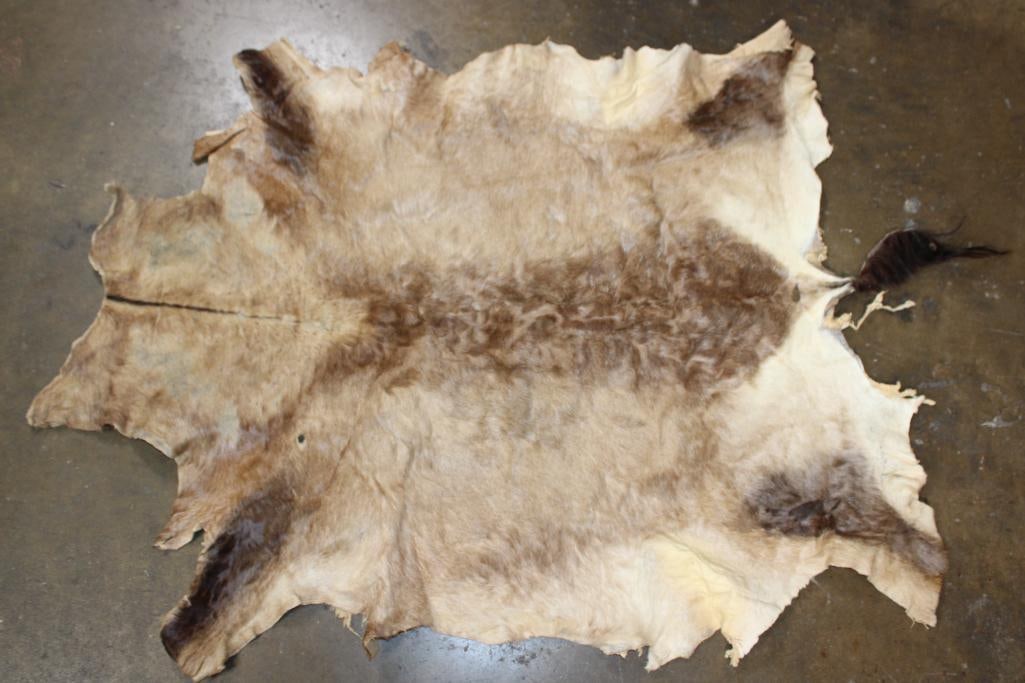 NYALA Back Hide - 4