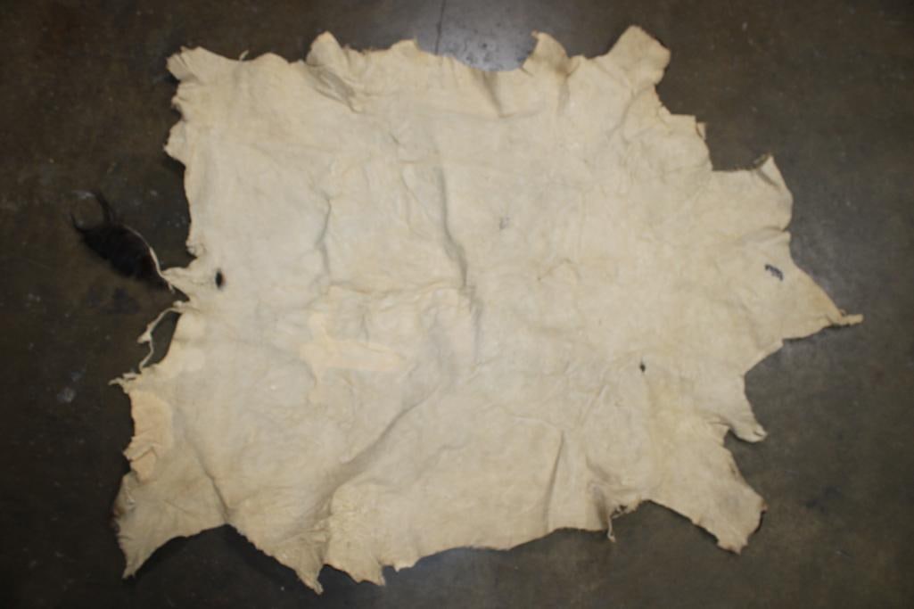 NYALA Back Hide - 6