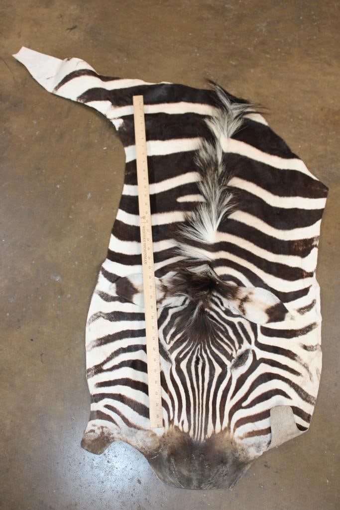 ZEBRA Head Hide Section - 2