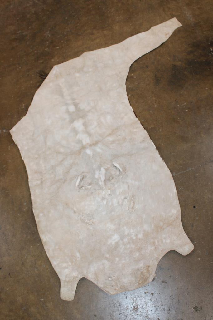 ZEBRA Head Hide Section - 4