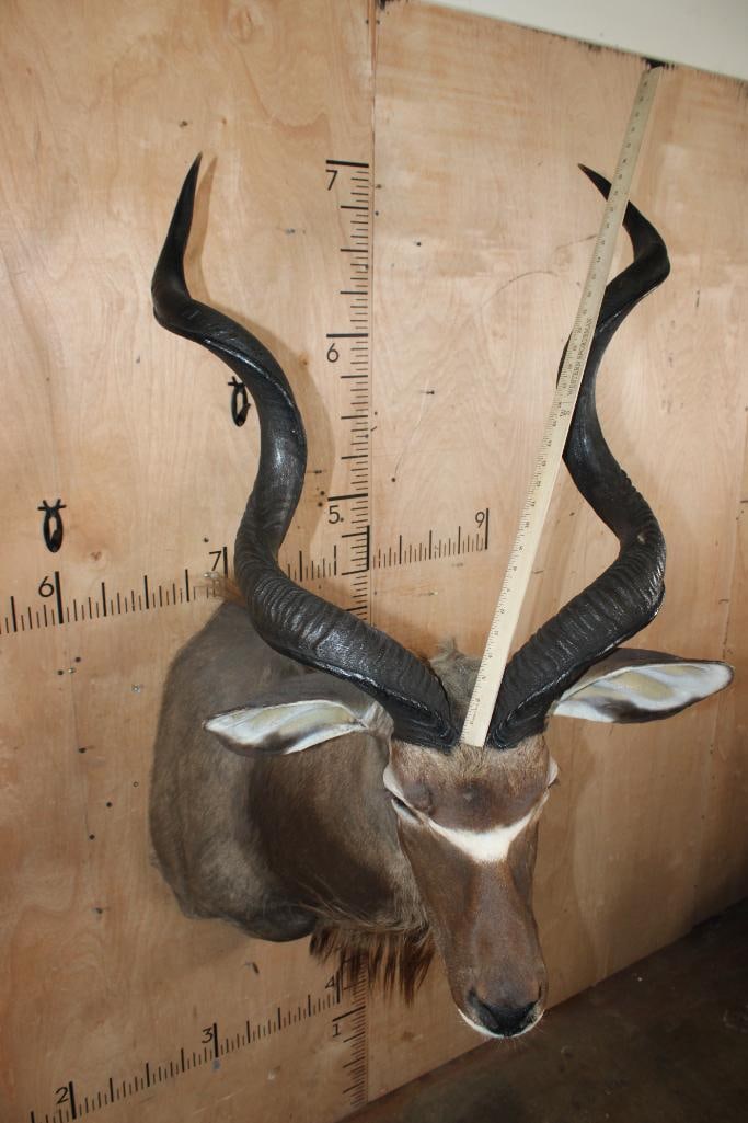 KUDU Shoulder Mount - 6