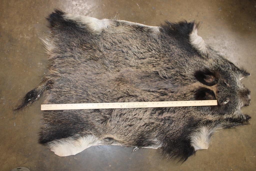 AFRICAN BUSHPIG Hide - 3