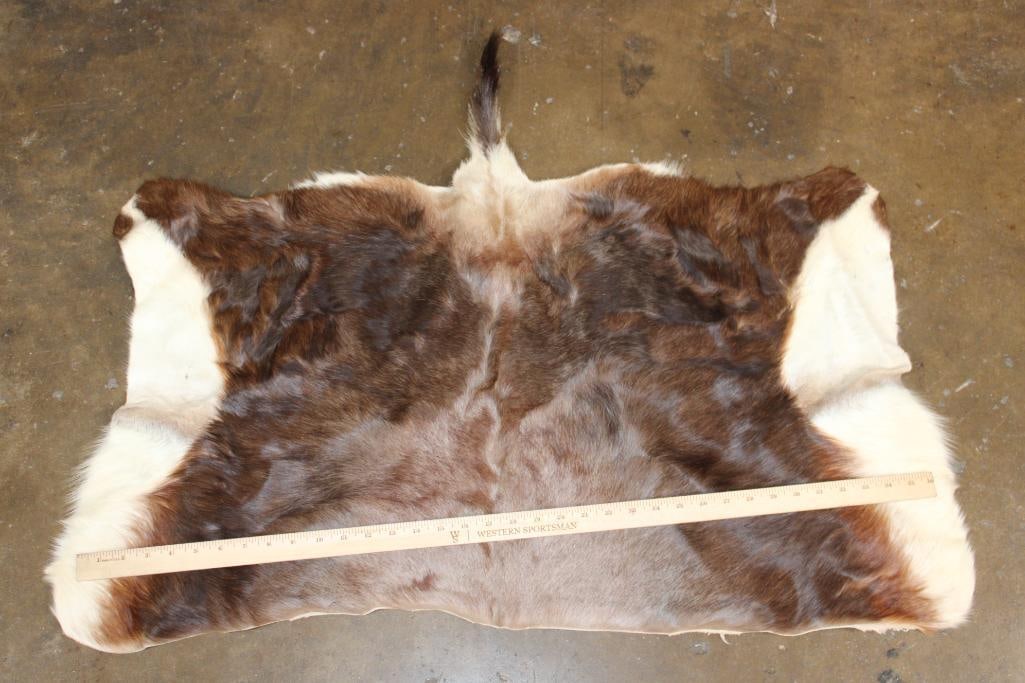 BLESBOK Back Hide - 2