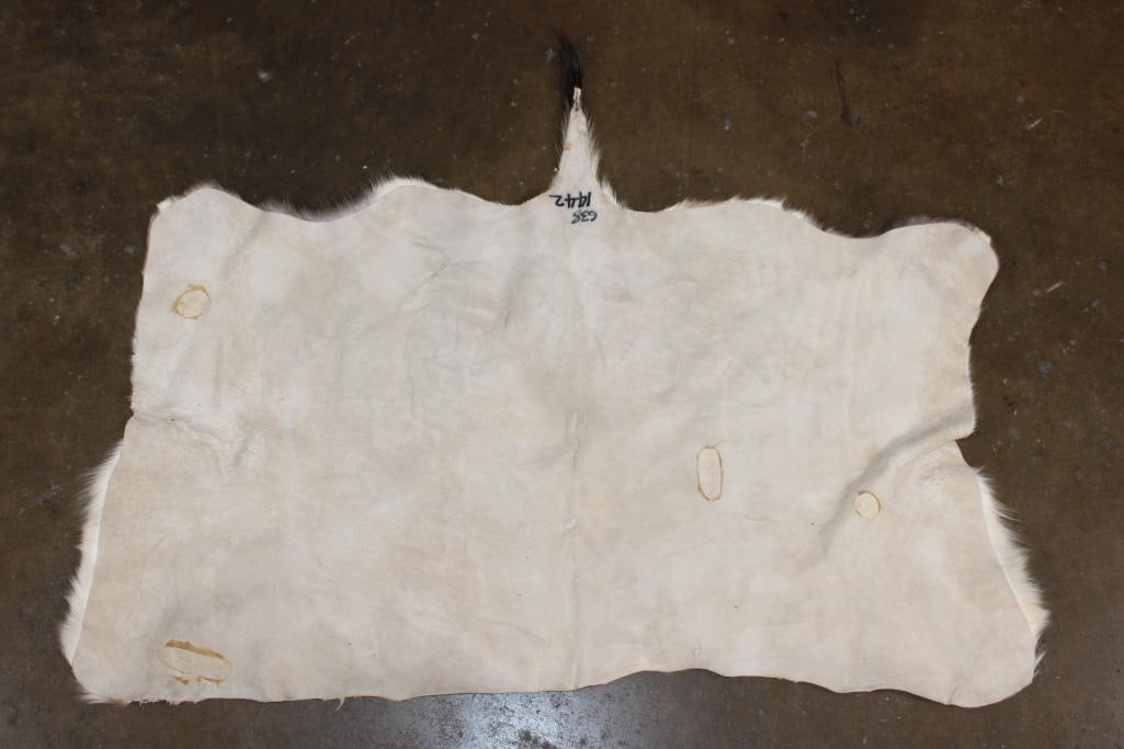 BLESBOK Back Hide - 3