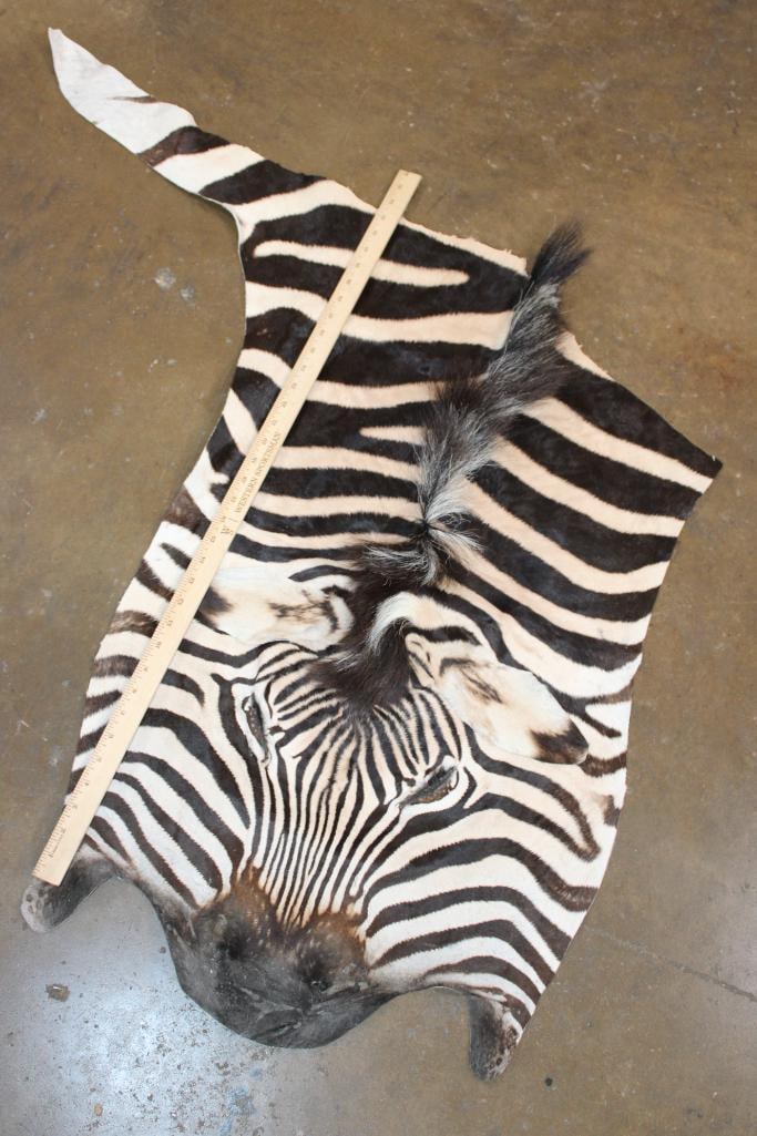 ZEBRA Head Hide Section - 2