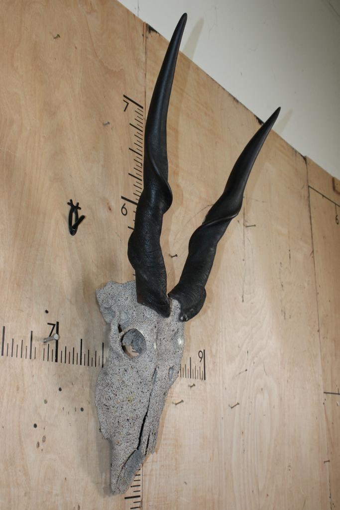 Big ELAND Skull with a "Rock Spray" Texture Finish - 2