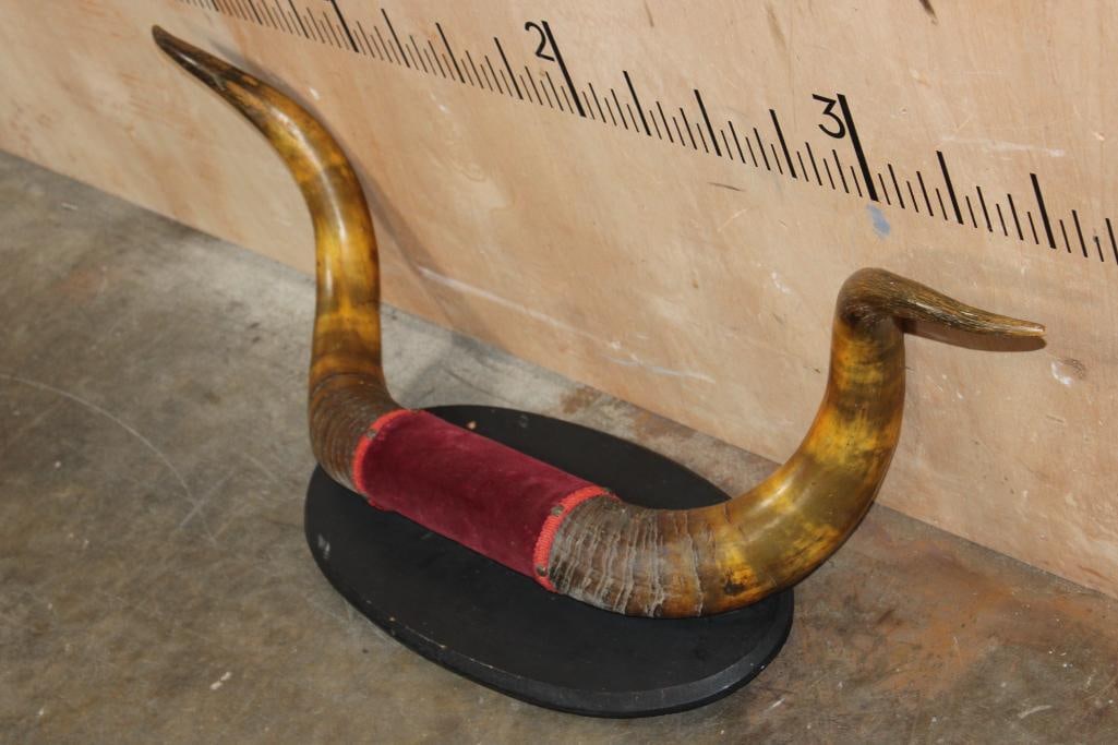 Very Old Set of STEER Horns on a Wood Plaque - 4