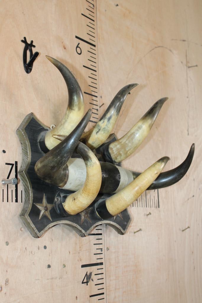 Vintage Set of STEER Horns with 5 additional Horns on a Decorative Wood Display - 2