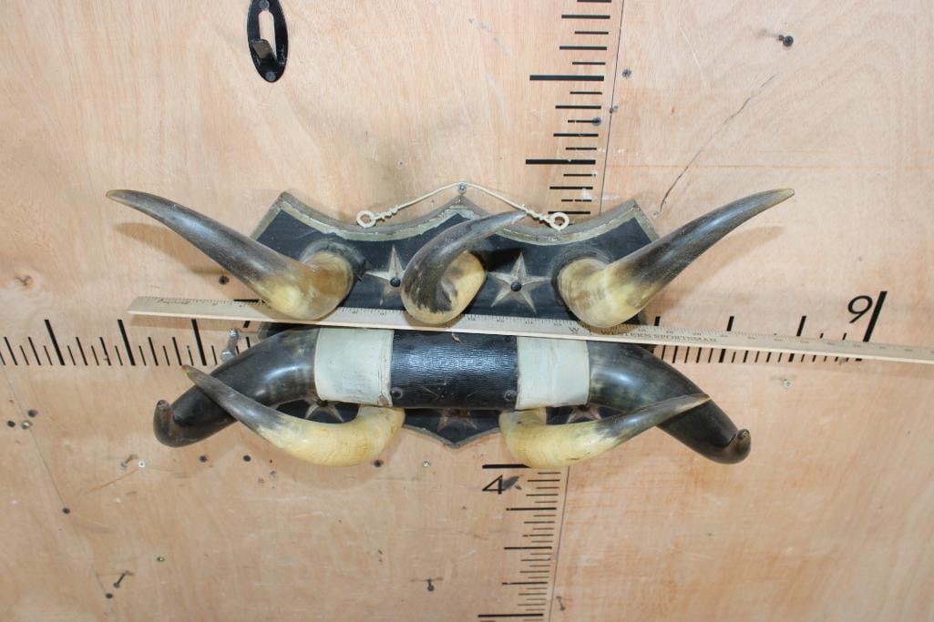 Vintage Set of STEER Horns with 5 additional Horns on a Decorative Wood Display - 4