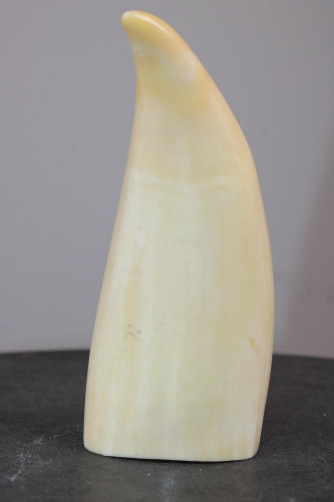 Pre 1972 Polished SPERM WHALE Tooth with a Cut Base to Stand or Display - 3