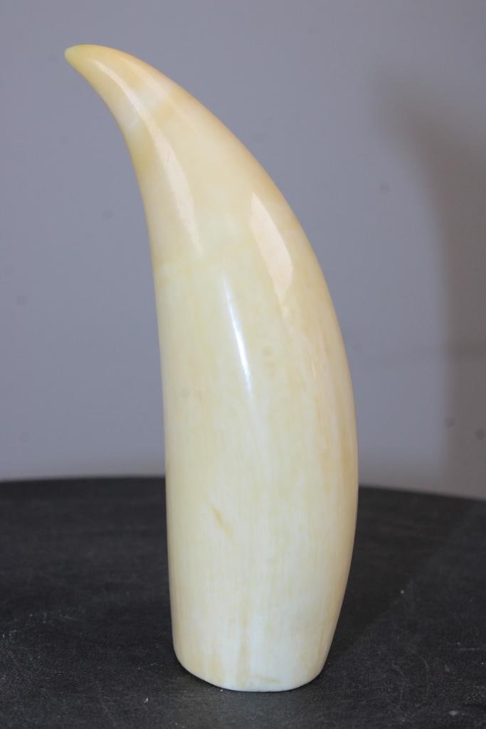 Pre 1972 Polished SPERM WHALE Tooth with a Cut Base to Stand or Display - 4