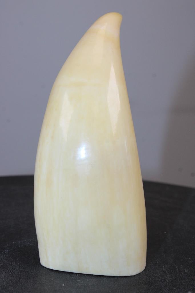 Pre 1972 Polished SPERM WHALE Tooth with a Cut Base to Stand or Display - 5