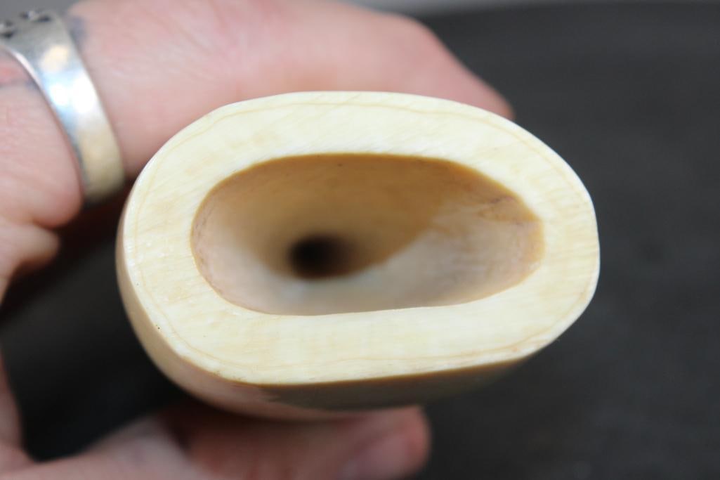 Pre 1972 Polished SPERM WHALE Tooth with a Cut Base to Stand or Display - 6
