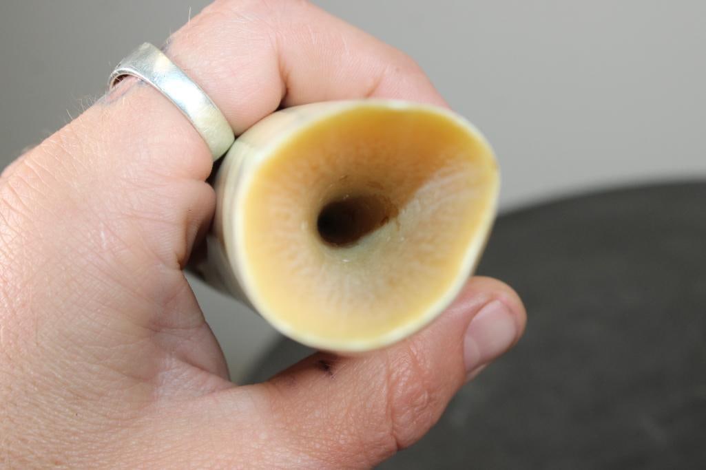 Pre 1972 Polished SPERM WHALE Tooth - 3