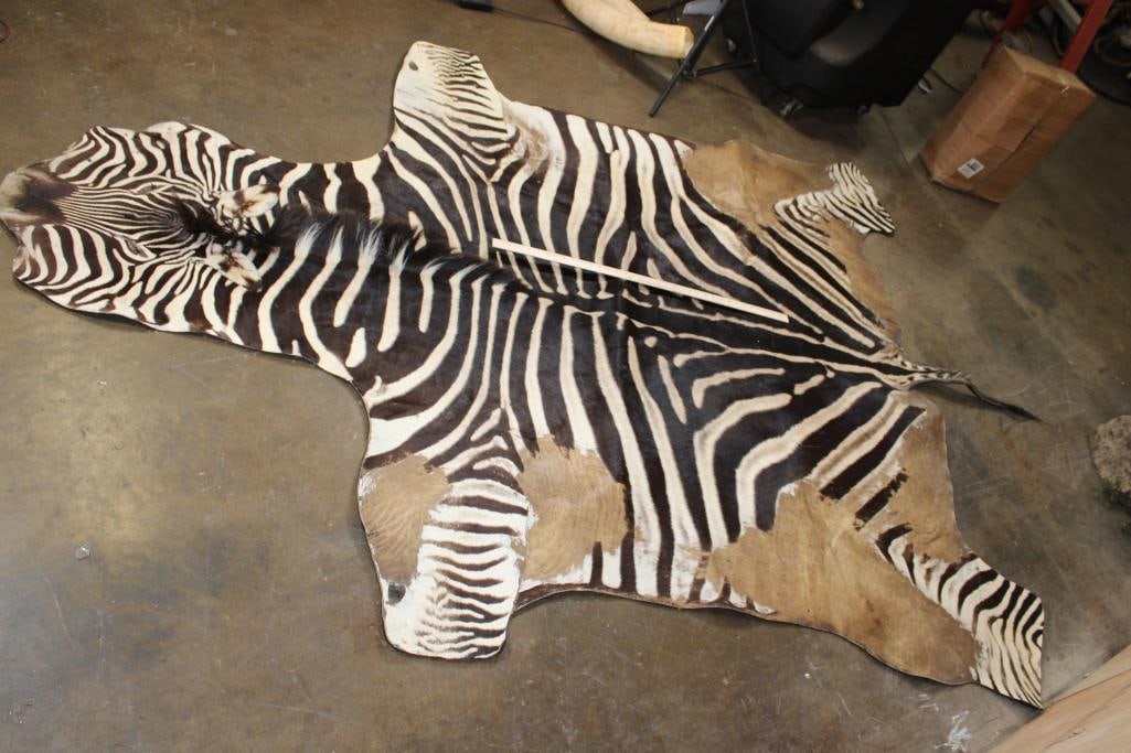 ZEBRA Hide Rug - 2