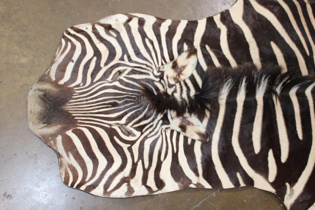 ZEBRA Hide Rug - 3