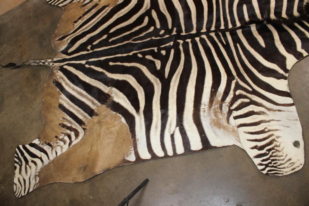 ZEBRA Hide Rug - 5