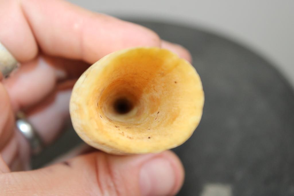 Pre 1972 SPERM WHALE Tooth - 6