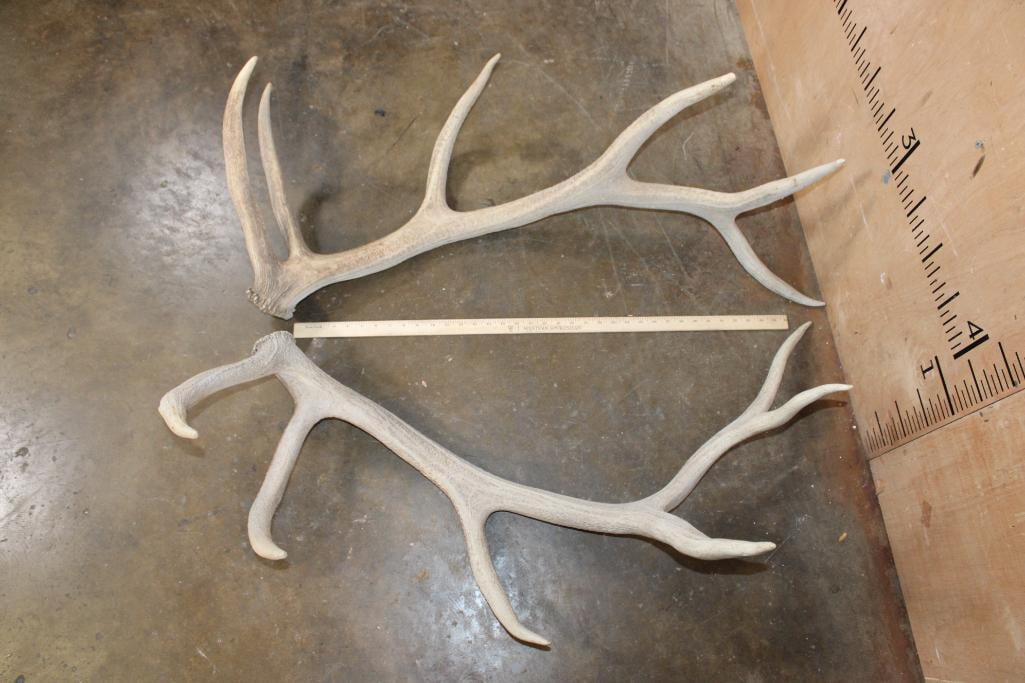 Big Set of ELK Sheds - 2