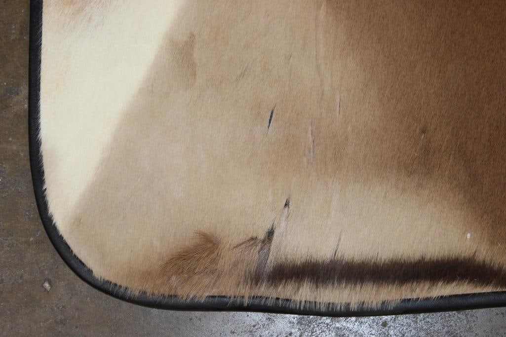 (1) RED HARTEBEEST Back Hide Rug and (1) IMPALA Back Hide Rug - 4