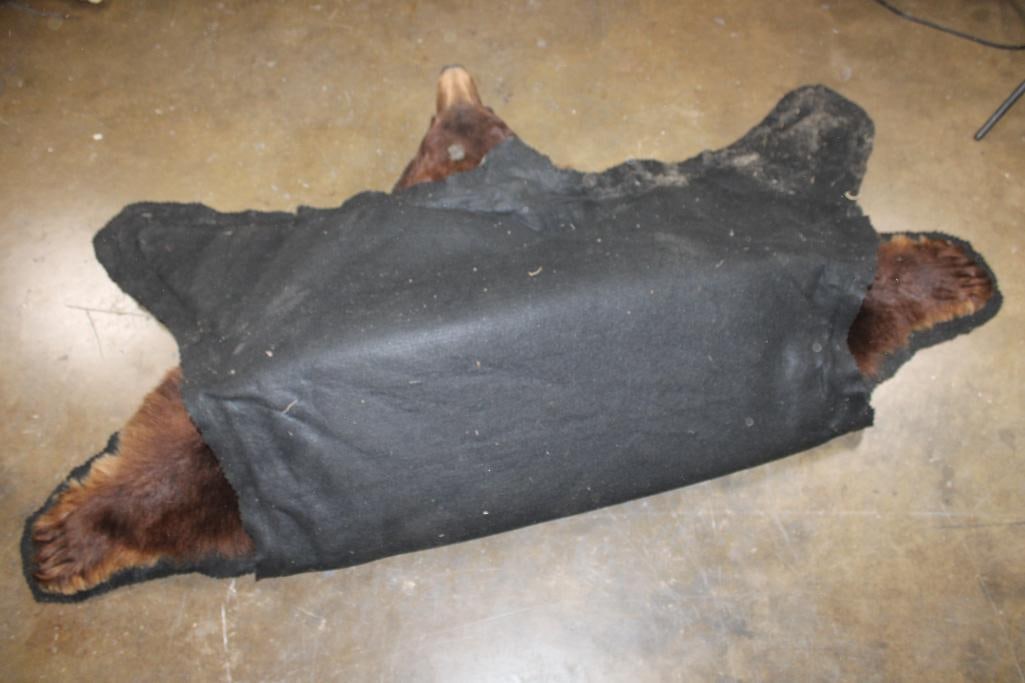 XXL BLACK BEAR Rug with its Mounted Head and a Felt Backing - 6