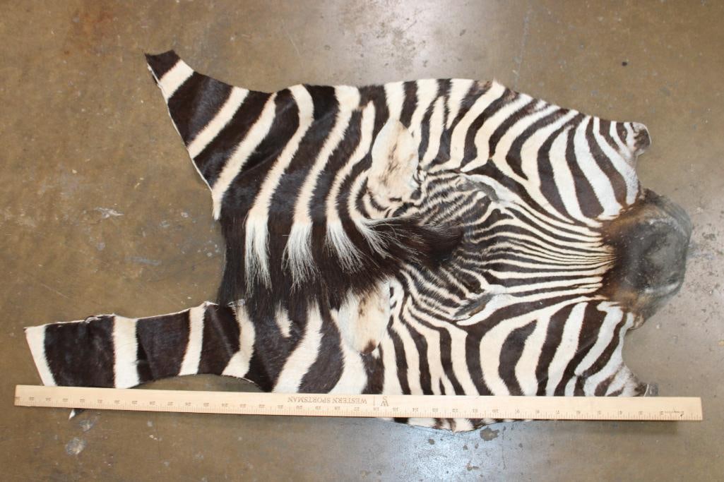 ZEBRA Head Hide Section - 2