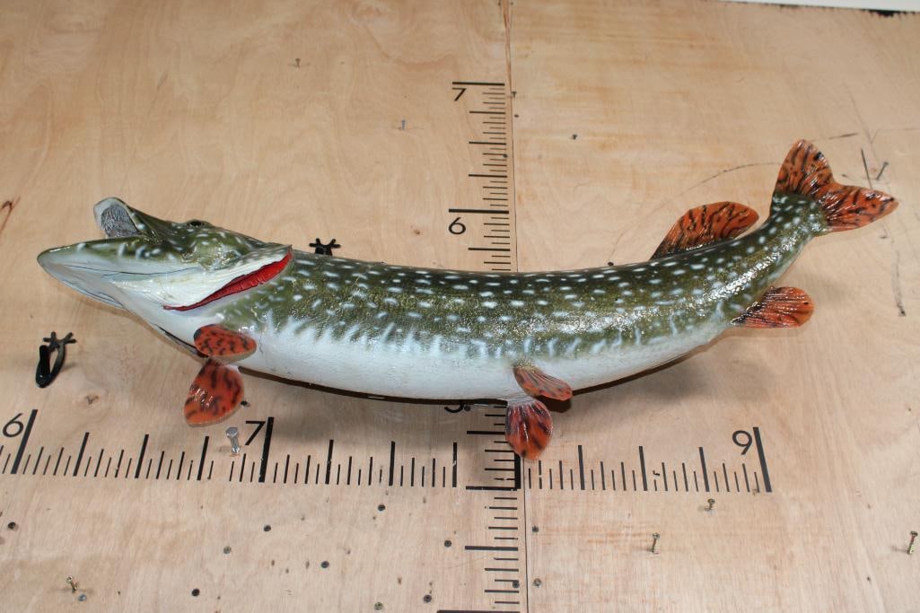 *Real Skin* NORTHERN PIKE Fish Mount - 5