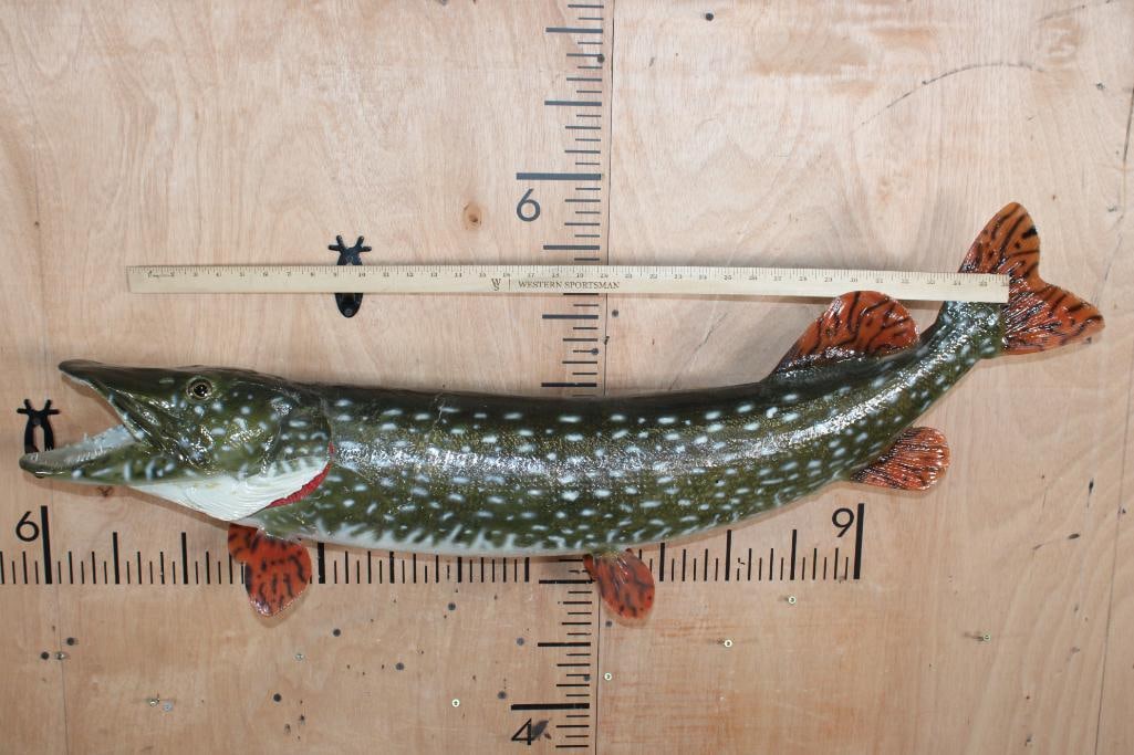 *Real Skin* NORTHERN PIKE Fish Mount - 6