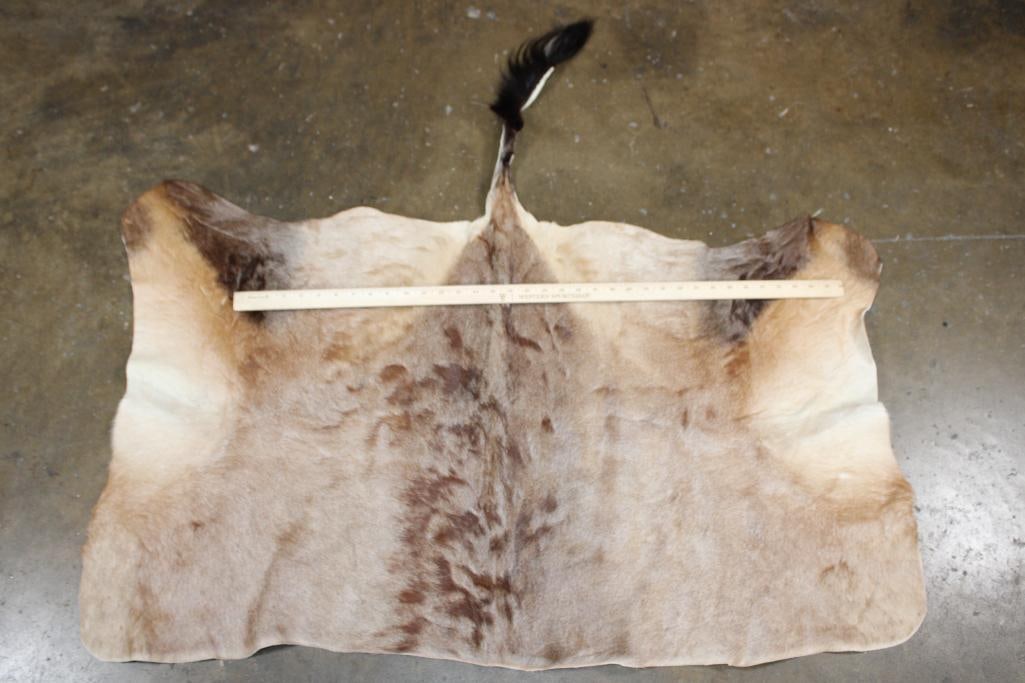 RED HARTEBEEST Back Hide - 2