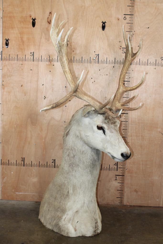 16-Point RED STAG Floor Pedestal Mount - 2