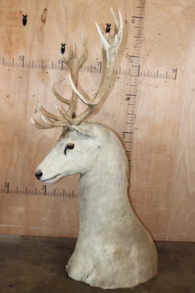 16-Point RED STAG Floor Pedestal Mount - 3